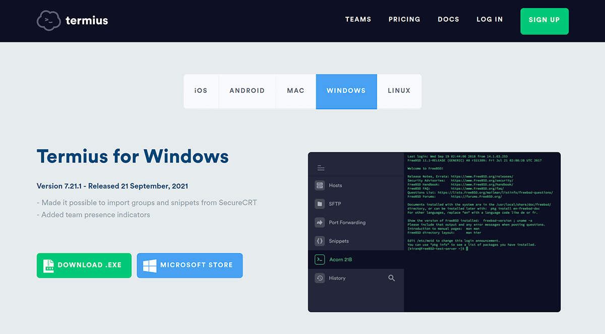 download termius for windows